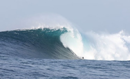 Jow-Surfer-Large