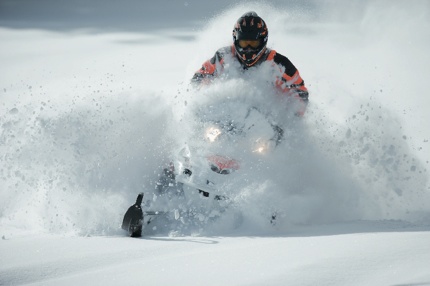 Arctic Action