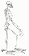 Reg Footer
