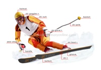Alpine-Skier