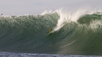 As Surf Mavs Pete 576