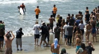 Slater Usopen2010