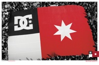 Riot-Flag