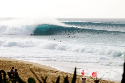 Pipe2731Reef10Kirstin M-1