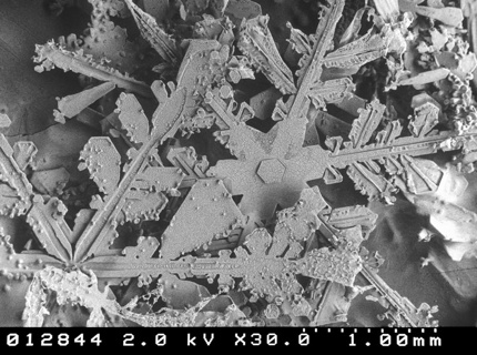 Microscopic-Snow-Crystals-3